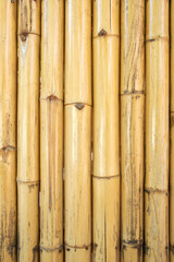 Yellow bamboo texture and background
