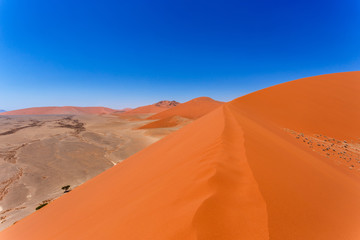 Fototapeta na wymiar Dune 45 in sossusvlei Namibia, view from the top of a Dune 45