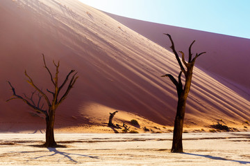 beautiful landscape of Hidden Vlei in Namib desert