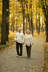 Mature couple walking