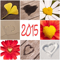 2015, collection of hearts related with nature