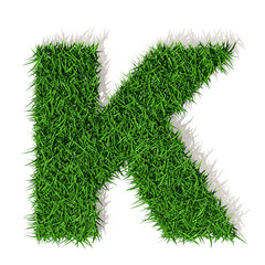 K lettera erba verde, isolata su fondo bianco
