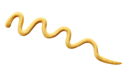 Fototapeta premium mustard sauce
