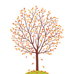 Autumn tree. Vector illustration.
