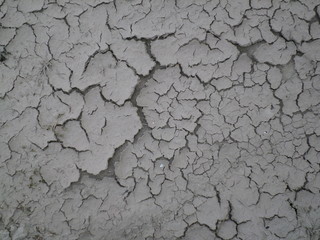 Country road texture