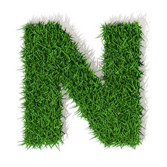 N lettera erba verde, isolata su fondo bianco