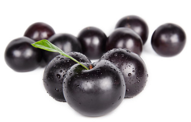 dark plums