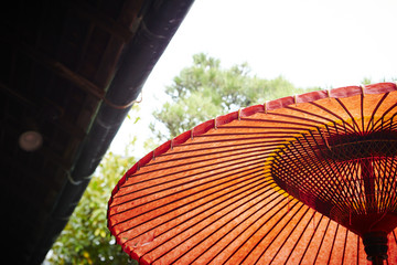 Japanese style red umbrella