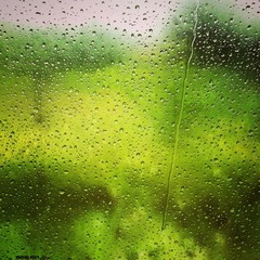 Дождливое путешествие!