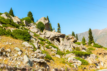 Nature near Big Almaty Lake, Tien Shan Mountains