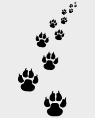 Black footprints of dogs, turn right-vector illustration