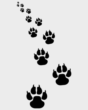 Black footprints of dogs, turn left 2-vector illustration