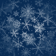 Fototapeta na wymiar Merry Christmas background with various snowflakes.