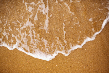 砂浜と波