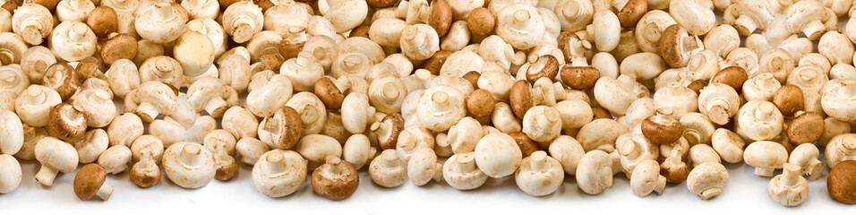 image of many mushrooms as background