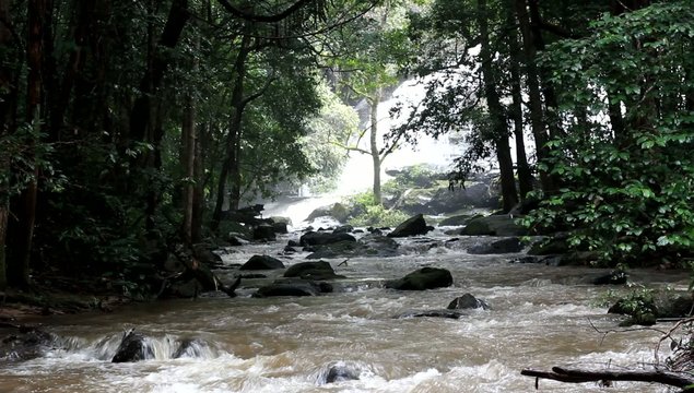 Waterfall in the forest