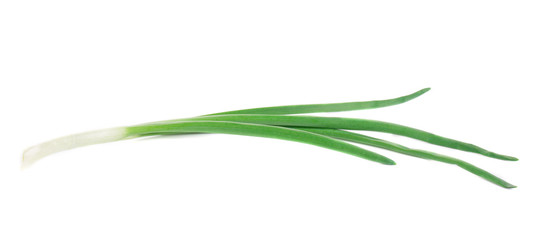 Beautiful spring onion.