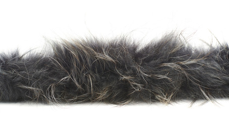 Strip of fur isolated