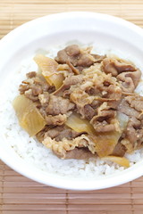 Japanese beef bowl