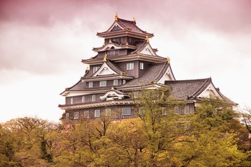 Fototapeta premium Okayama, Japonia. Filtrowany odcień koloru.