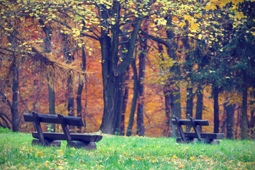 bench in the autumn park, vintage look