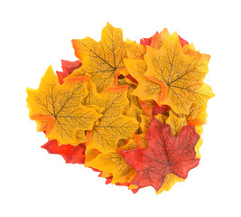 Group of artificial fall leaves on a white background.