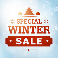 winter special sale poster