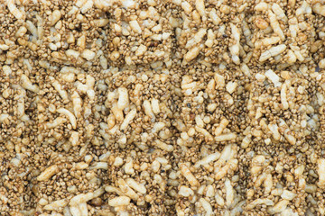 Sesame seeds Dessert background