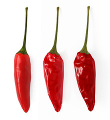 Trocknung einer Chilischote