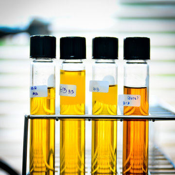 Laboratory research, test tube in rack