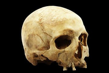 Genuine human skull isolated on black background