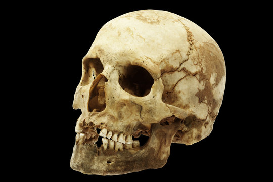 Genuine human skull isolated on black