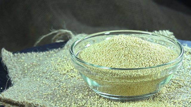 Amaranth (seamless loopable)