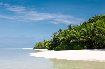 Nice tropical island beach in the Indian ocean