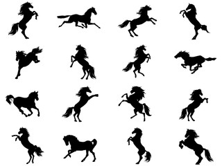 Silhouettes of animals (vector horses clipart ) 16
