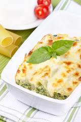 Cannelloni with spinach and ricotta baked in sauce bechamel