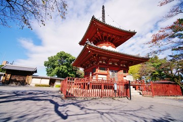 Obraz premium 川越喜多院の多宝塔