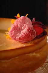 Detail cheese cake with sugared rose blossom