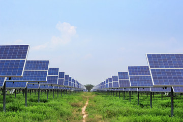 solar panel ecological  power for alternative  energy © Soonthorn