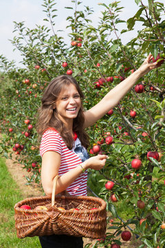 jeune femme qui cueille une pomme