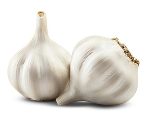 Obraz premium garlic isolated