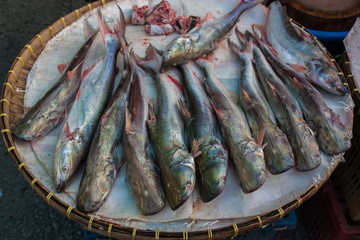 Selling fish in the market,Thailand market.