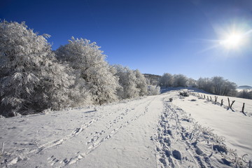 winter in mountain