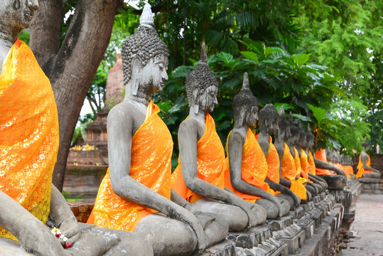 Row of Buddha