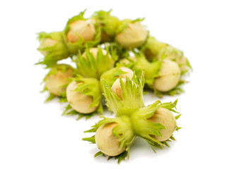 green hazelnuts