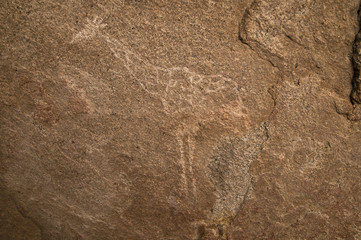 Phillips-Höhle, Giraffe, Ameib, Namibia, Afrika