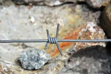 Barbed wire