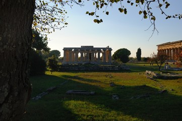 Scavi di Paestum