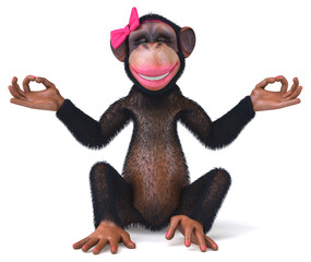 Fun monkey © Julien Tromeur