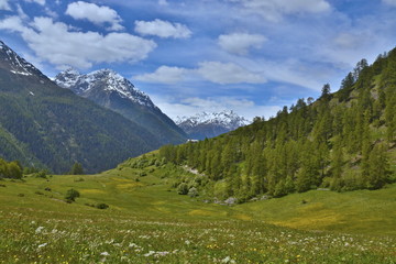 Fototapeta na wymiar Swiss Alps-view from the Bos-cha